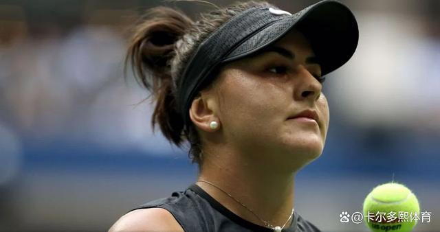 系列严谨的 系列严谨的