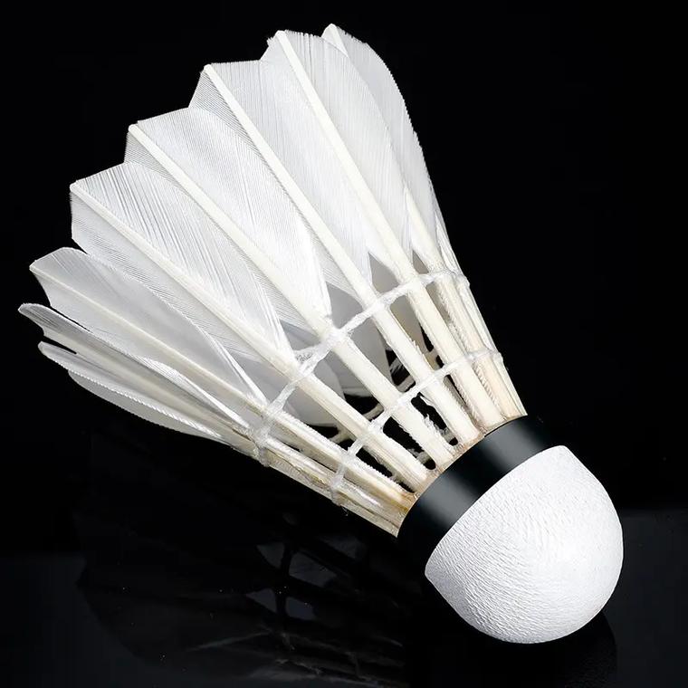 意甲半场：贝内德扎克点射破僵，比萨暂0-1帕尔马